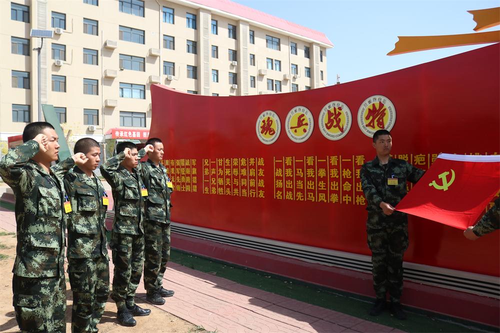 石家庄之行,大学生活的深度体验与感悟启示