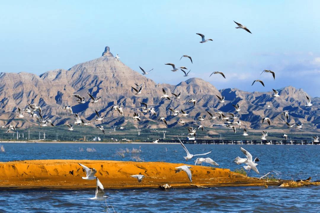 乌海之旅,探索这座城市的魅力