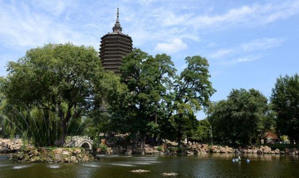 辽阳高科技重塑生活，辽阳之光引领未来科技潮流