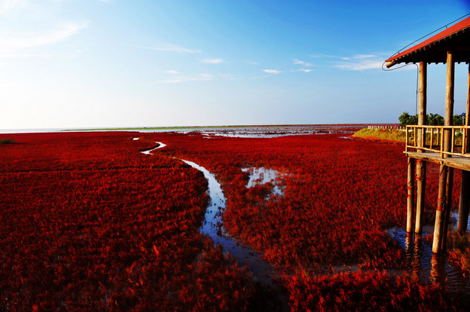 盘锦，河海要冲的诗意画卷展现