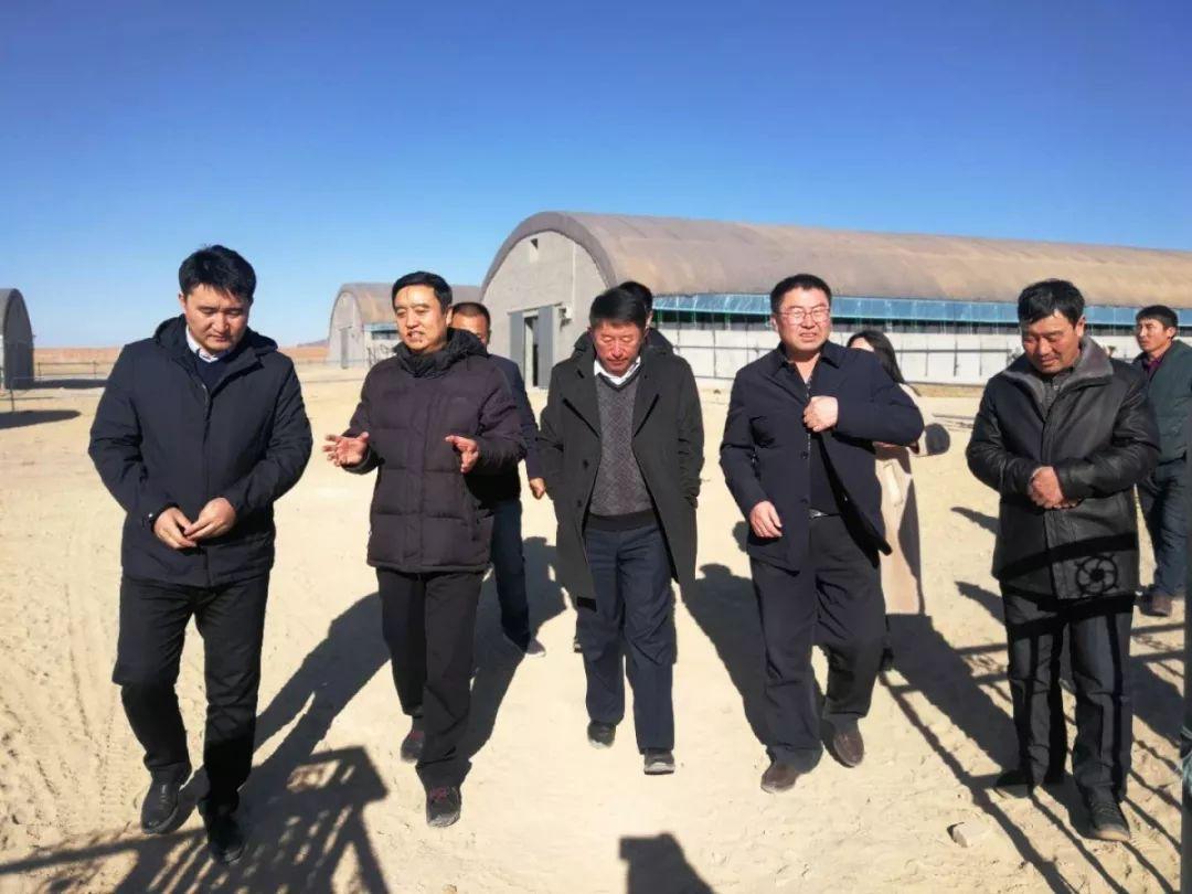 赤峰，历史长河中的文化与社会发展探析