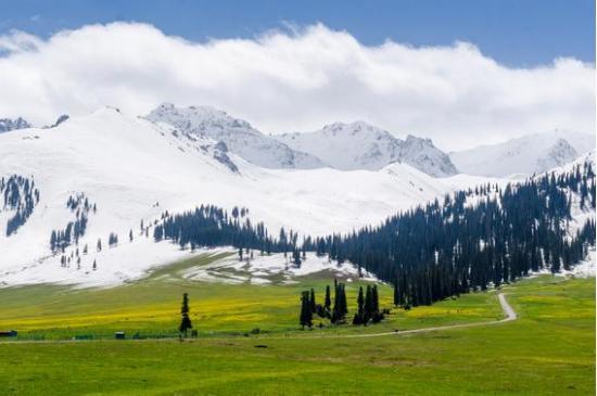 呼伦贝尔草原，探秘人间仙境的草原秘境